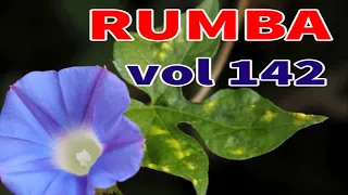 Rumba melody, Instrumental Relaxing Music, Soft music for relaxation vol 142