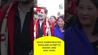 Bharat Jodo Nyay Yatra: Rahul Gandhi’s Nagaland sojourn