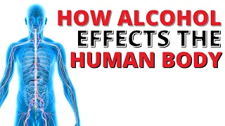 Alcohol Effects on the Human Body - Explained