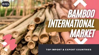 BAMBOO INTERNATIONAL MARKET - TOP IMPORT AND EXPORT COUNTRIES