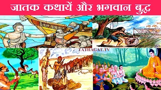 जातक कथायें क्या है और भगवान बुद्ध के जीवन से जुडी कैसे है? INTRO OF JATAKA TALES