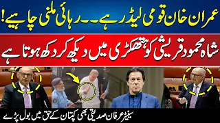 Imran Khan is National Leader | Senator Irfan Siddiqui Speaks in Favor of Imran Khan | 24 News HD