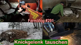 Farmvlog #291: Knickgelenk am Schäffer tauschen | Nachwuchs bei den Ziegen