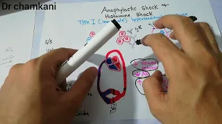 CVS 251 || Anaphylactic shock | Type-1 Hypersensitivity response.