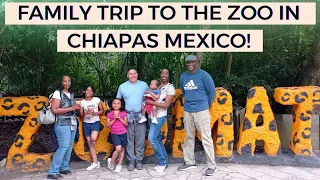 Family Trip to the Zoo in Chiapas Mexico! | Spanish Listening Practice