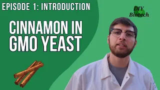 Genetically Modifying Yeast to Produce Cinnamon