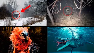 Most Bizarre & Creepy Animal Discoveries! | ORIGINS EXPLAINED COMPILATION 28