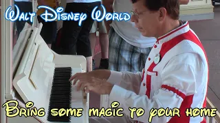 Piano Player Magic Kingdom Pirates & The Entertainer Disney World