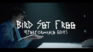 Sia - Bird Set Free (Performance Edit) (Ft. Paul Dano)