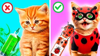 Miraculous Ladybug vs Cat Noir! Ladybug Found a Pregnant Cat!