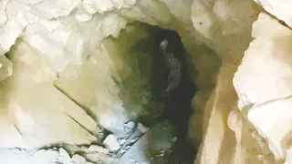 Caught on camera - Scary Cave Creature Caught On Camera