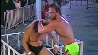 Randy Savage vs. Genichiro Tenryu - Wrestling Summit