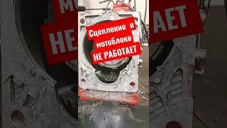 НЕ РАБОТАЕТ сцепление в мотоблоке. Возможная причина #short #like #shortvideo #shorts #top #trending