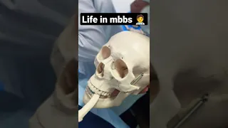 ending unexpected |mbbs student life in Russia #shorts #russia #india #medico #neet #mbbs #viral