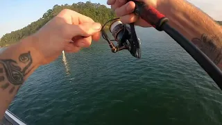 Spotted Bass Lake Allatoona Fishing Summer Temps