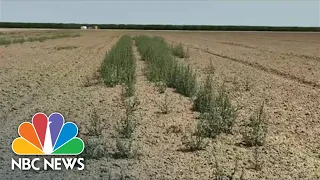 Extreme Drought In Northeast Fueled By Climate Change