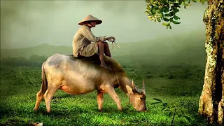 Vietnamese Music Relax with flute - Nhạc Thư Giãn Giúp Ngủ Ngon