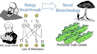 What is Biotechnology