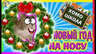 ИСТОРИ ❄️ ПОДГОТОВКА к НОВОМУ ГОДУ☃️ / ХОМОШКОЛА / хомки  / НОВЫЙ ГОД 2019 / Alisa Easy Pets