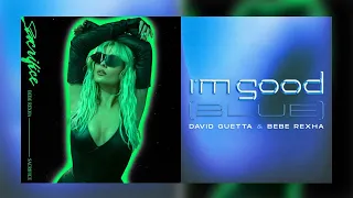 David Guetta & Bebe Rexha - I'm Good Sacrifice (Mashup)