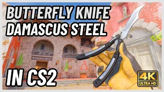 ★ CS2 Butterfly Knife Damascus Steel | CS2 Knife In-Game Showcase [4K]