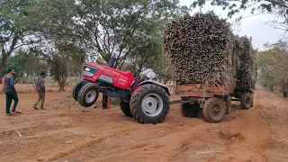 🔥🔥Arjun Mahindra 605 Di Sugar cane Tractor stunt 🔥🔥