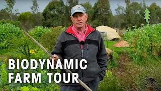 Purple Pear Biodynamic Permaculture Farm Tour