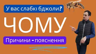 Слабкі сім'ї на пасіці, ось чому! Це найголовніша причина! Якщо про це знати, завжди матимеш бджоли!