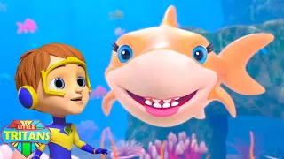 Детеныш акулы песня + Более дошкольное учусь видео для детей
