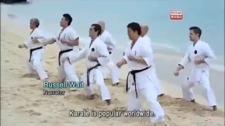 Chinese Martial Arts Documentary HD - Kung Fu Quest 2 Karate and White Crane Kung Fu