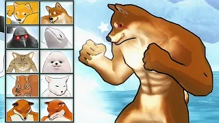 Fight of Animals: Bad Dog (Dog vs Fox vs Cat) | Eftsei Gaming