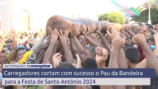 Carregadores cortam com sucesso o Pau da Bandeira para a Festa de Santo Antônio 2024