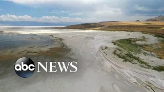 Great Salt Lake dry-up causing dangerous climate ripple effect, ecologists say l ABCNL