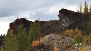 Все оттенки светлого. Национальный парк "Югыд ва" (The national Park "Yugyd VA")