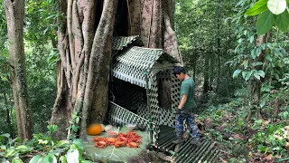 Build a shack under a giant tree, eat wild mountain crabs