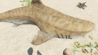 Stranded Deep 11 DEC 2016   0 20 00 Tiger Shark