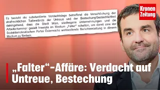 „Falter“-Affäre: Verdacht auf Untreue, Bestechung | krone.tv NEWS