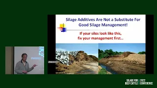 Silage inoculants: how to select to get the most return on investment