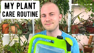 My Houseplant Care Routine