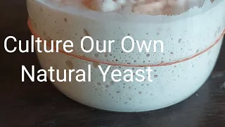 Culture Our Own Natural Yeast.