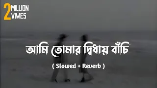 Ami Tumar Diday Bachi Lofi ( Slowed + Reverb )Minar Rahman | Ahmed Sojib|Karone Okarone |Bangla Song