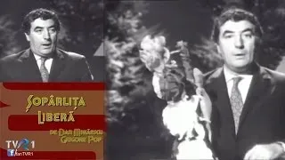 Toma Caragiu - Șopârlița Liberă (1969)