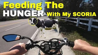 This is What Happened When I Picked Up Lunch on my Mokwheel Scoria Ebike 🐄