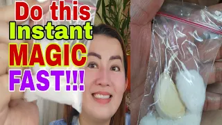 DO THIS INSTANT MAGIC FAST-APPLE PAGUIO1