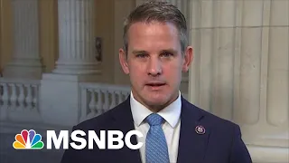 Rep. Kinzinger: Trump Brought Heaps Of Fear Into The Republican Party