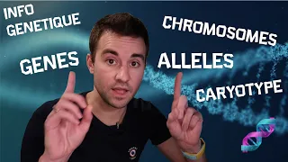 🧬 Les bases de la génétique