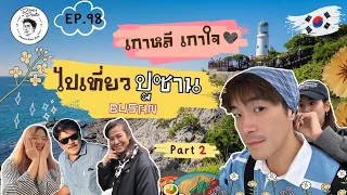 อาหารของอาเล็ก Ep.98 อาเล็กพลาดแล้ว! ทิ้งโบว์และครอบครัวไว้ที่ปูซาน!!!!