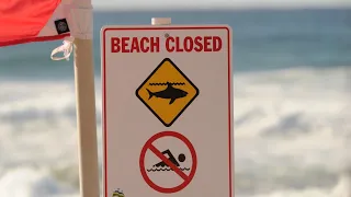 Sydney beaches closed after fatal shark attack