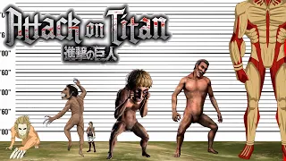 Attack on Titan Size Comparison | Titan Character Heights