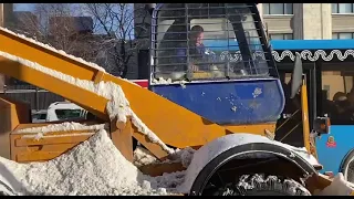 60% месячной нормы снега выпало в Москве за два дня